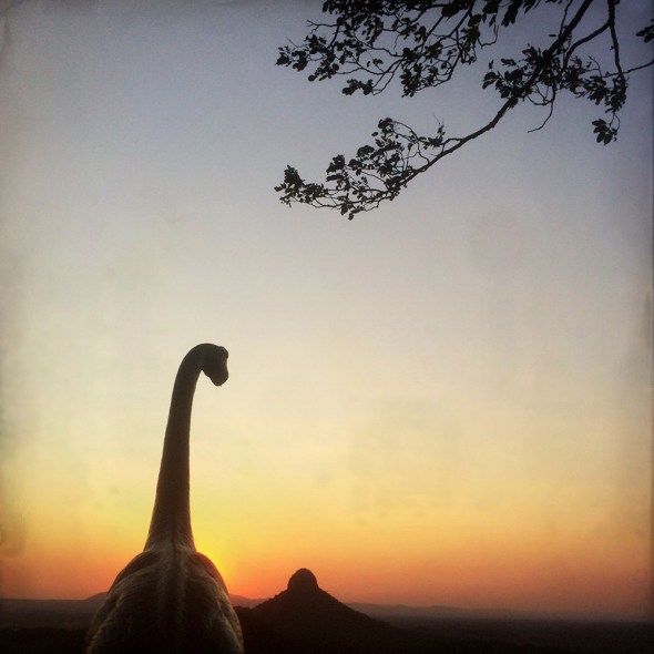 PIC BY JORGE SAENZ / CATERS NEWS - (Pictured: Jorge Saenzs toy dinosaurs in Paraguay) These incredible images may look like a scene from The Land Before Time, but they are actually created using TOY DINOSAURS. Professional photographer Jorge Saenz began the inventive series as a fun side project to his regular job. On his travels, Jorge has snapped the dinosaurs in countries such as Argentina, Brazil, Chile, Peru and Paraguay. Some of the scenes, such as those atop of mist-covered mountain ranges, look as though they were taken 100 million years ago. - SEE CATERS COPY